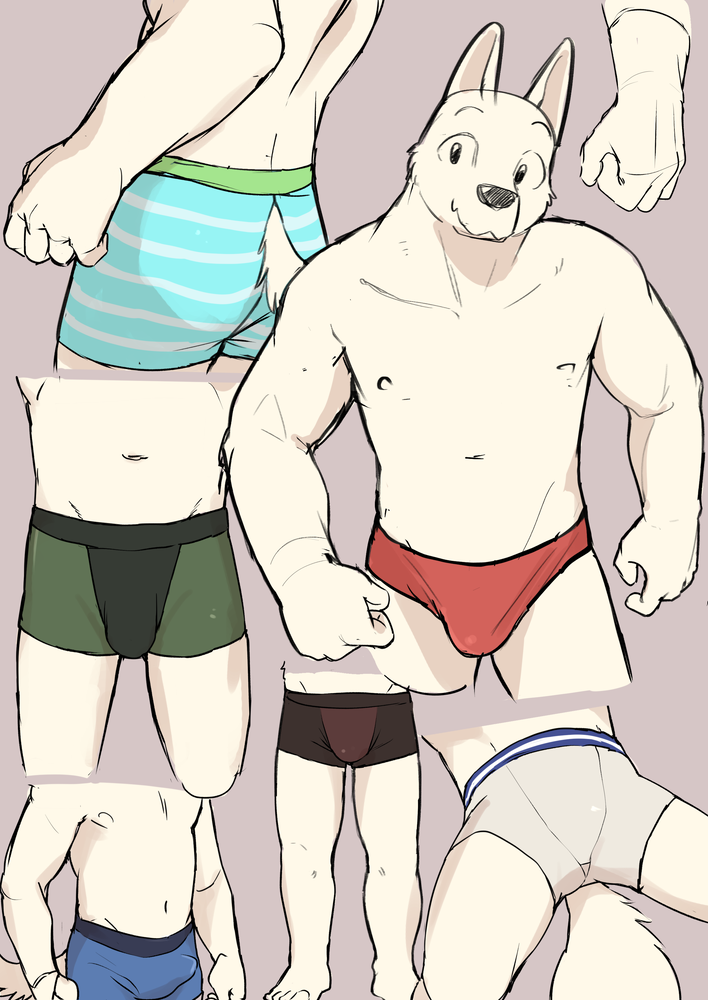 anthro boxer_briefs bulge butt canid canine clothed clothing male mammal manmosu_marimo muscular partially_clothed rear_view simple_background solo speedo swimwear underwear white_canine_(marimo)