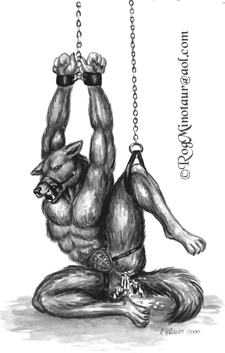 4_fingers 4_toes abs anthro anus ball_gag bdsm bodily_fluids bondage bound canid canine canis chain chastity_cage chastity_device cum cum_drip dripping ears_down feet fingers gag genital_fluids hairy male mammal muscular nipples pivoted_ears plantigrade questionable_consent raised_leg rog_minotaur simple_background solo submissive submissive_male toes wolf wrist_cuff