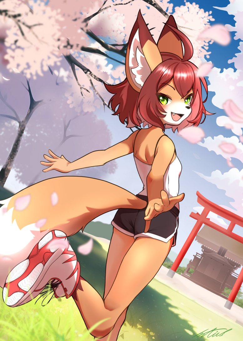anthro athletic_wear bottomwear canid canine cherry_blossom clothing fangs female footwear fox fur grass green_eyes gym_bottomwear gym_shorts hair inner_ear_fluff looking_at_viewer looking_back looking_back_at_viewer mammal netiel orange_body orange_fur outside plant red_hair running shirt shoes shorts solo tank_top teeth topwear torii tuft white_body white_fur