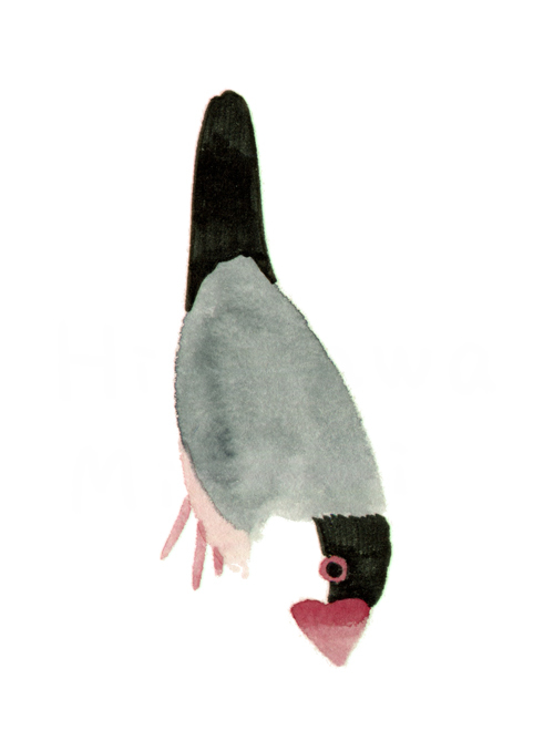 animal animal_focus artist_name bird blending chromatic_aberration commentary_request finch from_side full_body hirasawa_minami java_sparrow no_lineart original profile simple_background solo standing upside-down white_background