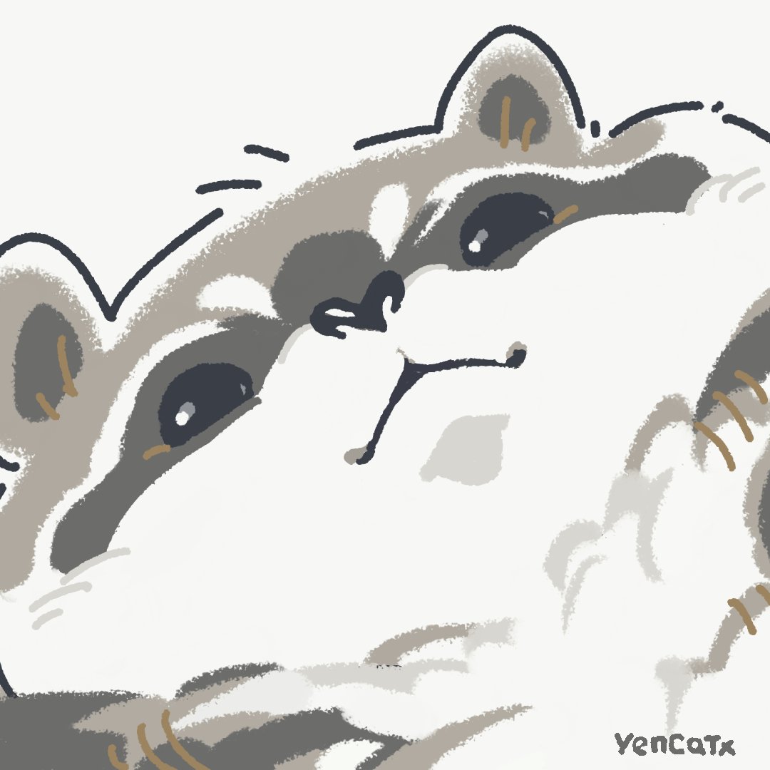 2022 black_eyes black_nose chibi dot_eyes feral grey_body mammal procyonid raccoon simple_background solo white_body yencatx