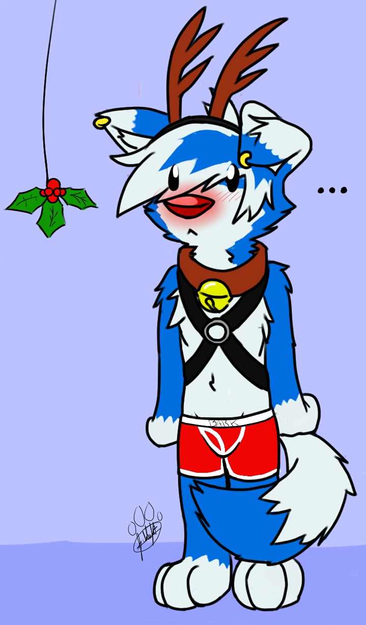... 2014 :&lt; anthro antlers bandai_namco bell bell_collar biped black_eyes blue_body blue_ears blue_fur blue_hair blush border_collie boxers_(clothing) brown_collar canid canine canis christmas clothed clothing collar collie digimon digimon_(species) digitigrade dipstick_ears dipstick_tail domestic_dog ear_piercing ear_ring eye_through_hair fur gaokun gaokun_(character) gaomon hair harness herding_dog hi_res holidays horn male mammal markings mistletoe mostly_nude multicolored_body multicolored_ears multicolored_fur multicolored_hair nervous pastoral_dog piercing plant red_clothing red_nose red_underwear sheepdog simple_background solo tail_markings translucent translucent_hair two_tone_body two_tone_ears two_tone_fur two_tone_hair underwear underwear_only white_body white_ears white_fur white_hair