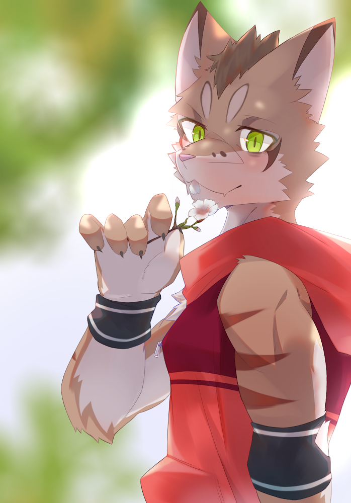 2022 5_fingers anthro blurred_background clothing deity felid feline fingers flower fur hoodie leopard_cat looking_at_viewer male mammal nekojishi plant prionailurus red_clothing shu-chi solo studio_klondike topwear video_games visual_novel y_yama8642 young