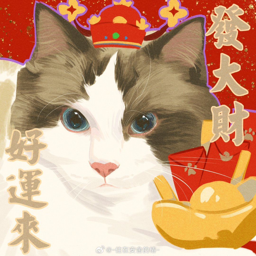 animal animal_focus aqua_eyes artist_name black_cat cat chinese_commentary chinese_text closed_mouth commentary_request hat hongbao looking_at_viewer no_humans original outline purple_outline ragdoll_(cat) red_background red_headwear translation_request watermark weibo_logo whiskers white_cat zhuzai_anshe_dechun