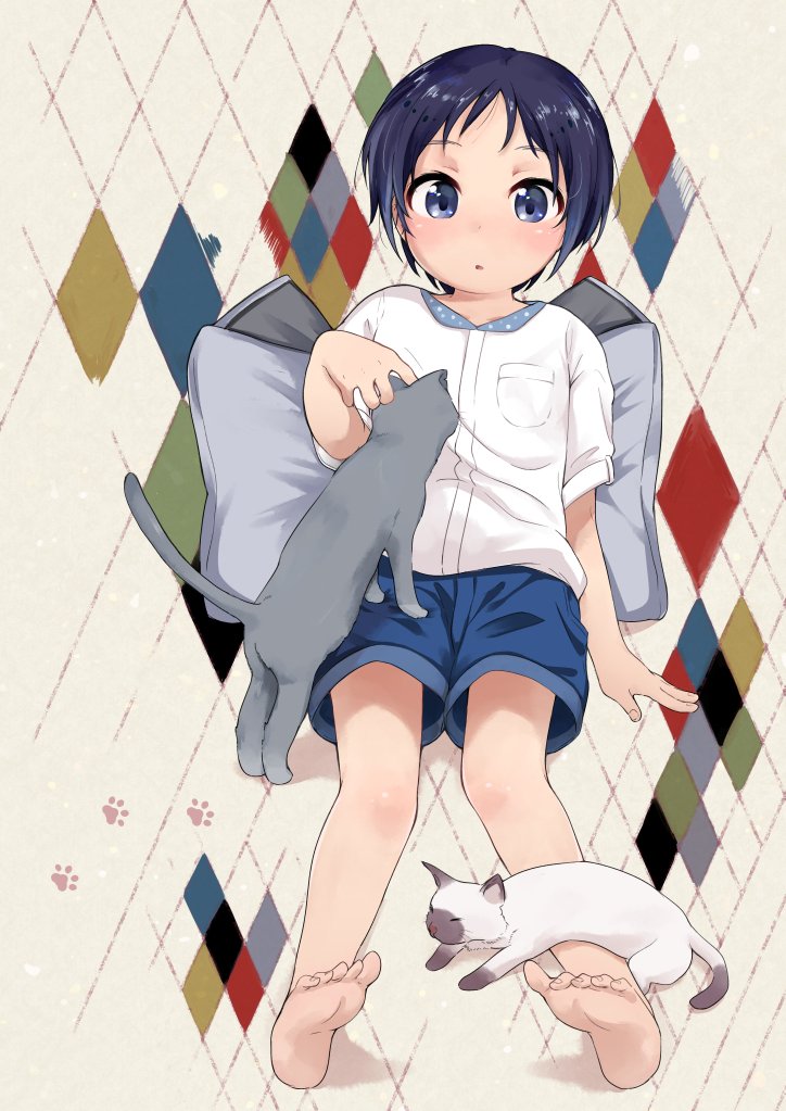 1girl barefoot blue_eyes blue_hair blue_shorts blush cat full_body kurosaki_honoka nekopantsu_(blt) parted_lips pillow shirt short_hair shorts sitting soles solo toes white_shirt yama_no_susume