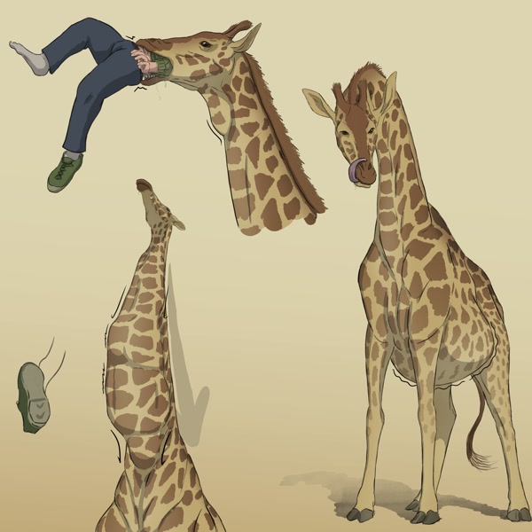 feral giraffe giraffid human male mammal vore