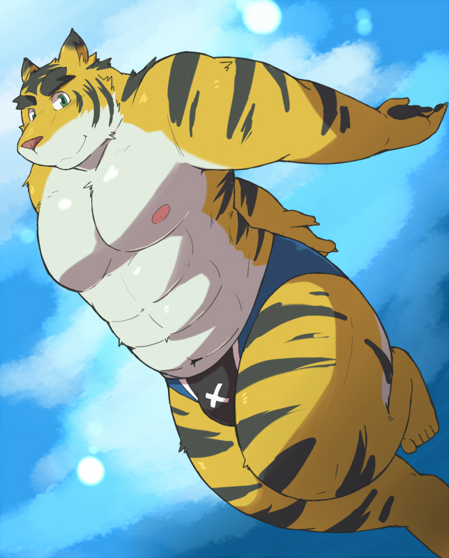 2014 anthro ayame42612 barazoku clothing felid humanoid_hands kemono male mammal morenatsu muscular muscular_male navel nipples pantherine pecs solo swimwear tiger torahiko_(morenatsu) video_games visual_novel white_body yellow_body