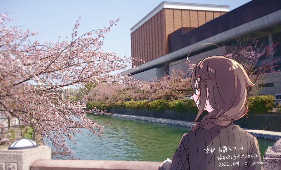 ahoge black_hair black_sweater blue_eyes blue_sky braid building cherry_blossoms cloud commentary_request dated day from_behind hair_flaps hair_over_shoulder kantai_collection kyoto outdoors photo_background railing real_world_location ribbed_sweater river satsumi shigure_(kancolle) single_braid sky sweater translation_request tree upper_body