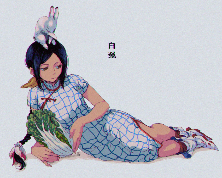 1girl black_hair cabbage china_dress chinese_clothes closed_mouth dress highres original rabbit solo ttanne white_background
