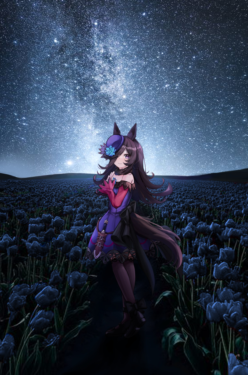 1girl absurdres animal_ears back_bow bare_shoulders black_bow black_footwear black_pantyhose blue_flower blue_rose blush bow brown_hair commentary_request dagger dress field flower flower_field full_body hair_over_one_eye highres himori_kiko horse_ears horse_girl horse_tail knife long_hair looking_at_viewer night night_sky pantyhose purple_dress purple_eyes purple_headwear rice_shower_(umamusume) rose sheath sheathed sky smile solo star_(sky) starry_sky tail umamusume weapon