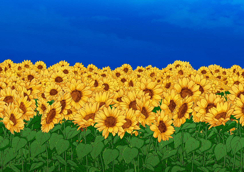 blue_sky field flower flower_field garden_of_the_sun highres kide_koushin no_humans outdoors scenery sky sunflower touhou yellow_flower
