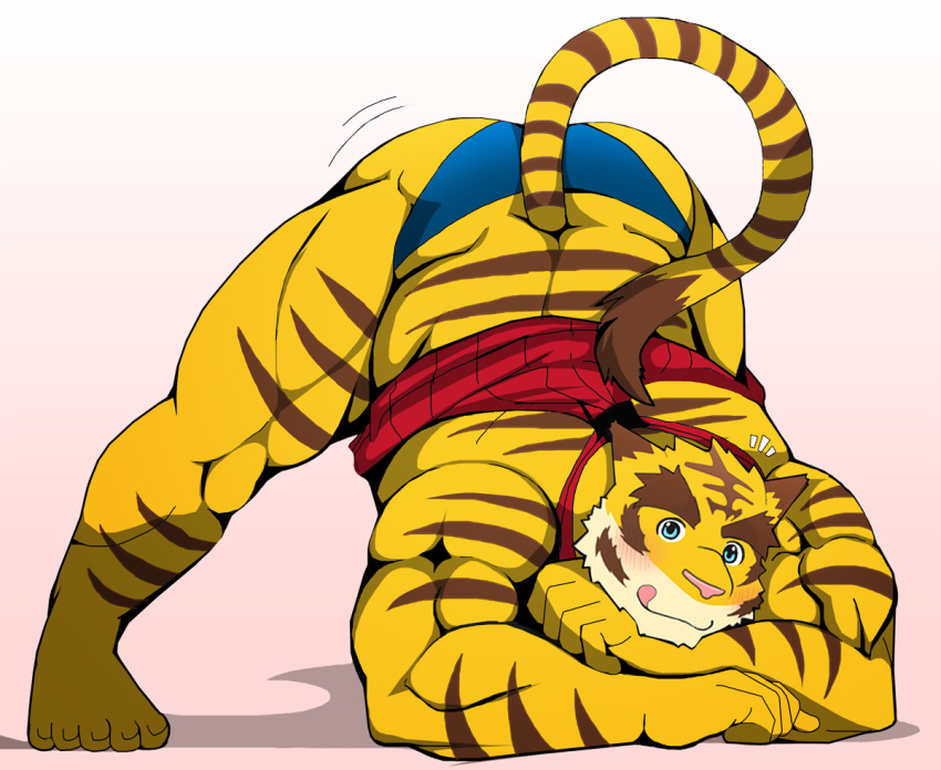 anthro bearlovestiger13 blush clothing felid jack-o'_pose looking_at_viewer male mammal morenatsu pantherine pose solo tiger tongue tongue_out torahiko_(morenatsu) video_games visual_novel