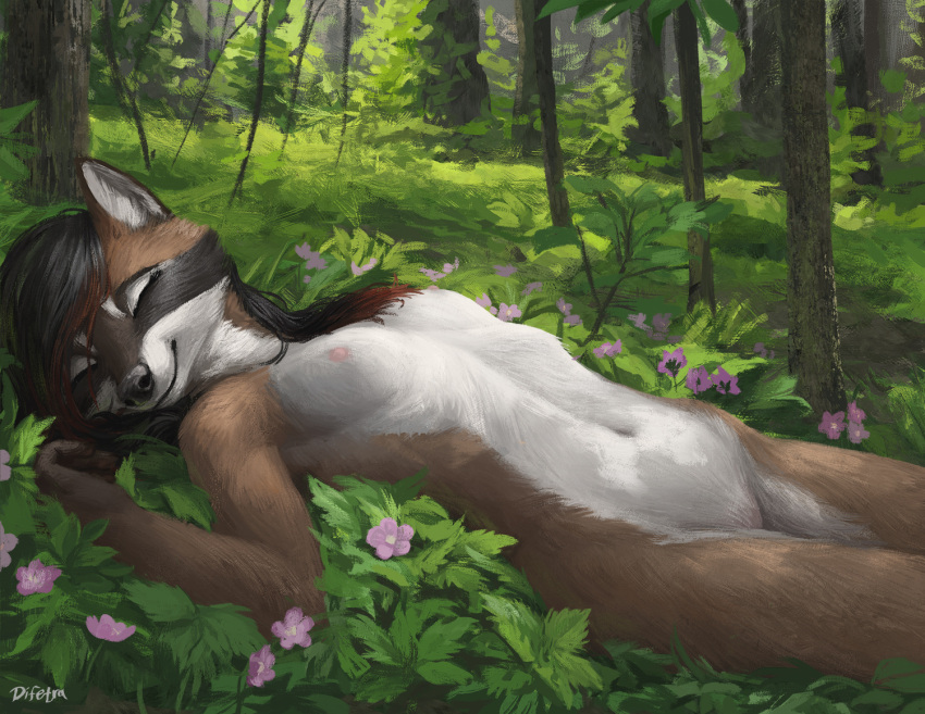 2022 anthro black_hair breasts brown_body brown_fur day detailed_background difetra digital_media_(artwork) female forest fur grass hair mammal nude outside plant procyonid raccoon smile tree