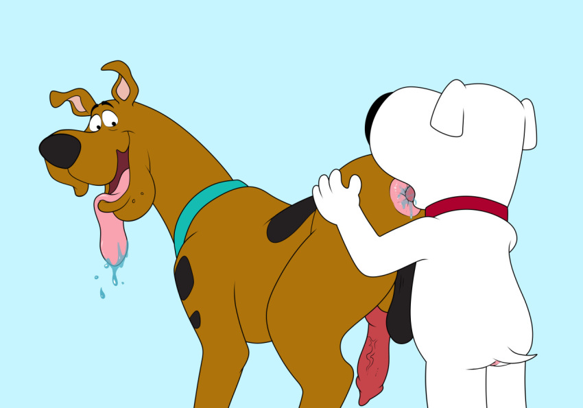 anal anthro anus balls brian_griffin canid canine canis collar domestic_dog duo family_guy feral genitals hanna-barbera knot male male/male mammal oral rimming scooby-doo scooby-doo_(series) sex solo spread_anus spreading tongue tongue_out