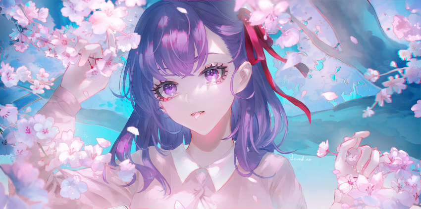 1girl bangs cherry_blossoms chinese_commentary commentary_request dress expressionless fate/stay_night fate_(series) flower hair_ribbon hand_up heaven's_feel highres level02 long_hair long_sleeves looking_at_viewer matou_sakura petals petals_in_mouth pink_flower purple_eyes purple_hair red_ribbon ribbon shiny shiny_hair solo