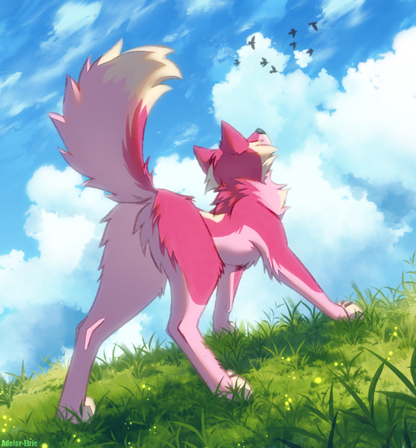 adelar_elric avian bird canid canine canis cloud featureless_crotch feral fur grass hi_res looking_up mammal pink_body pink_fur plant raised_tail rear_view solo wolf