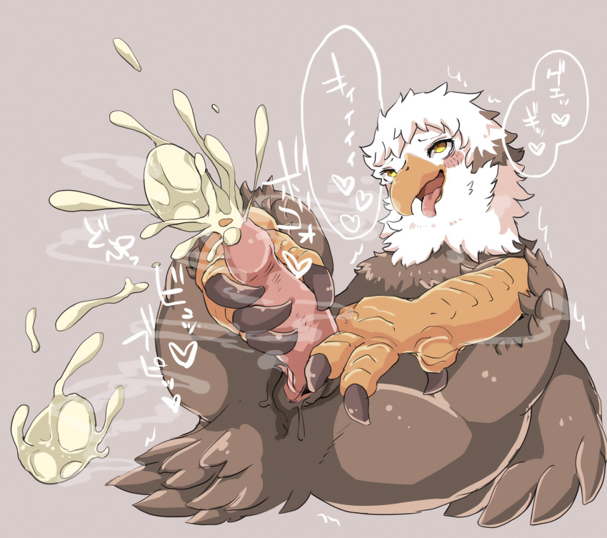 &lt;3 2022 4_toes accipitrid accipitriform after_transformation anakitsune animal_genitalia anisodactyl anthro avian bald_eagle bird blush bodily_fluids brown_body brown_feathers claws cloaca cloacal_penis cum digital_media_(artwork) eagle edit egg ejaculating_cum ejaculation feathers feet genital_fluids genitals hi_res japanese_text looking_pleasured male male_oviposition multicolored_body multicolored_feathers open_mouth orgasm orgasm_face oviposition ovipositor_penis penis prehensile_feet sea_eagle shaded simple_background solo talons text toes tongue tongue_out two_tone_body two_tone_feathers uncensored white_body white_feathers