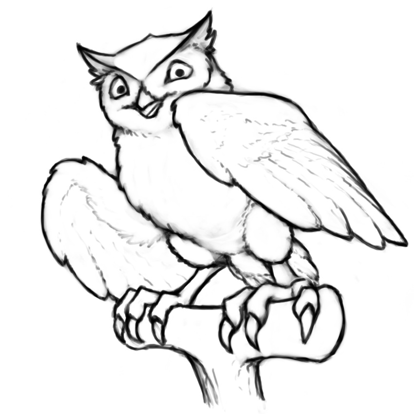 4_toes ambiguous_gender anisodactyl avian beak bird claws feathered_wings feathers feet feral hi_res looking_at_viewer monochrome owl perch simple_background solo spread_wings tail_feathers toes white_background wide_eyed wings yojek163
