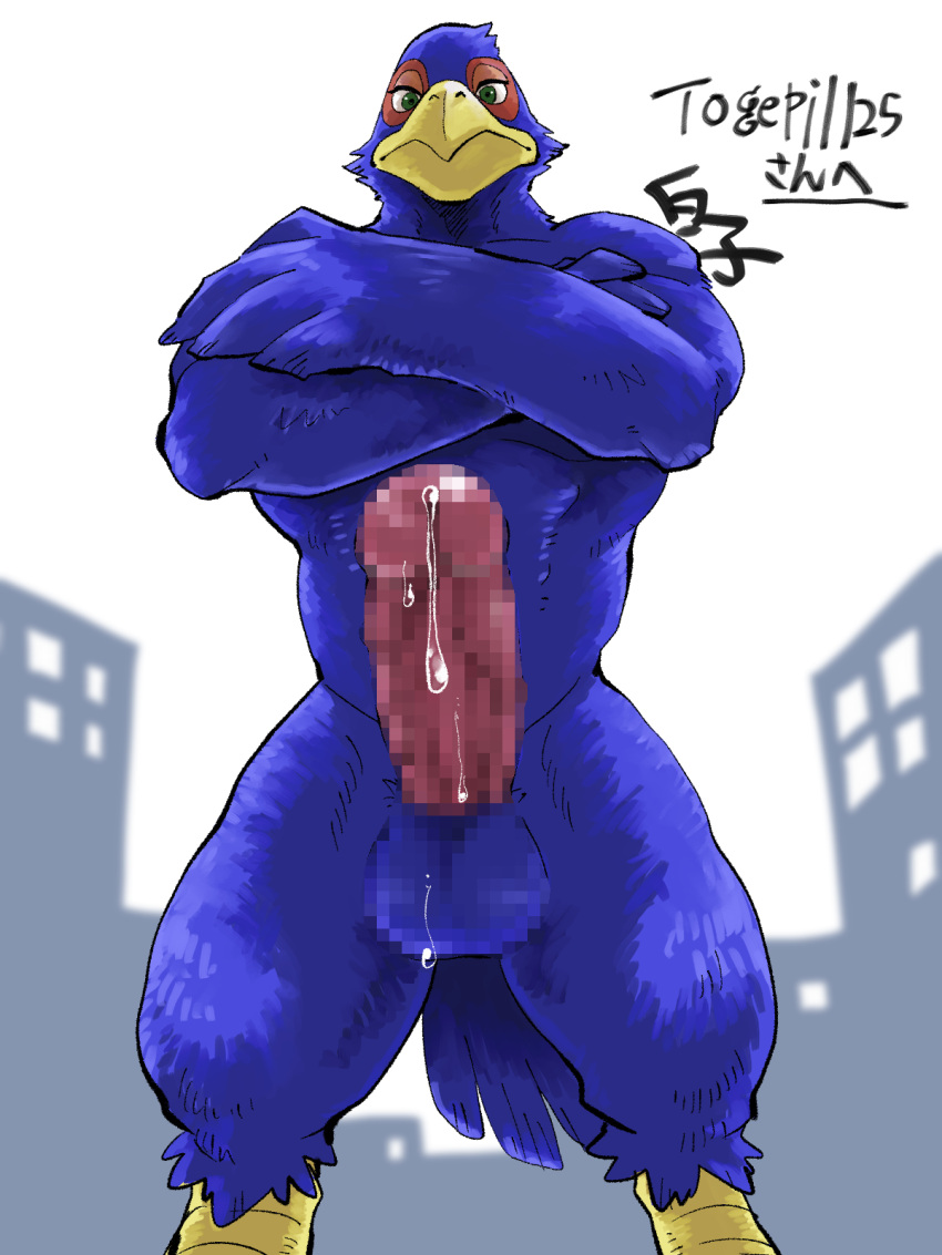 anthro avian bird blue_body bodily_fluids building censored erection falco_lombardi genital_fluids genitals hi_res looming low-angle_view macro male nintendo penis precum shirako simple_background solo star_fox video_games