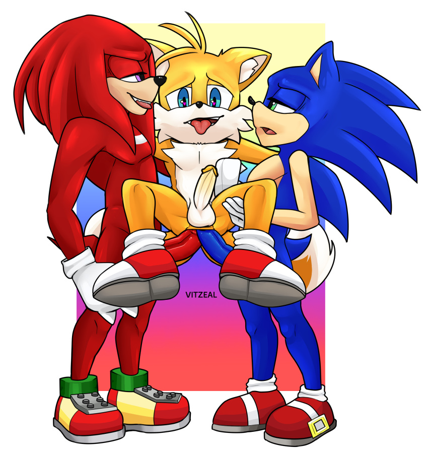 absurd_res anal anal_penetration anthro canid canine double_anal double_penetration echidna eulipotyphlan fox group hedgehog hi_res knuckles_the_echidna male male/male mammal miles_prower monotreme penetration sega sonic_the_hedgehog sonic_the_hedgehog_(series) trio vitzeal