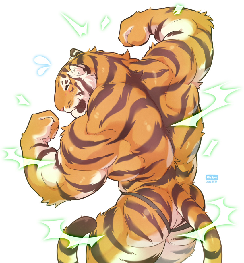 anthro back_muscles biceps black_body black_fur butt felid fur giraffe_(artist) hi_res lam-chan male mammal muscular orange_body orange_fur pantherine pink_nose pose simple_background tiger