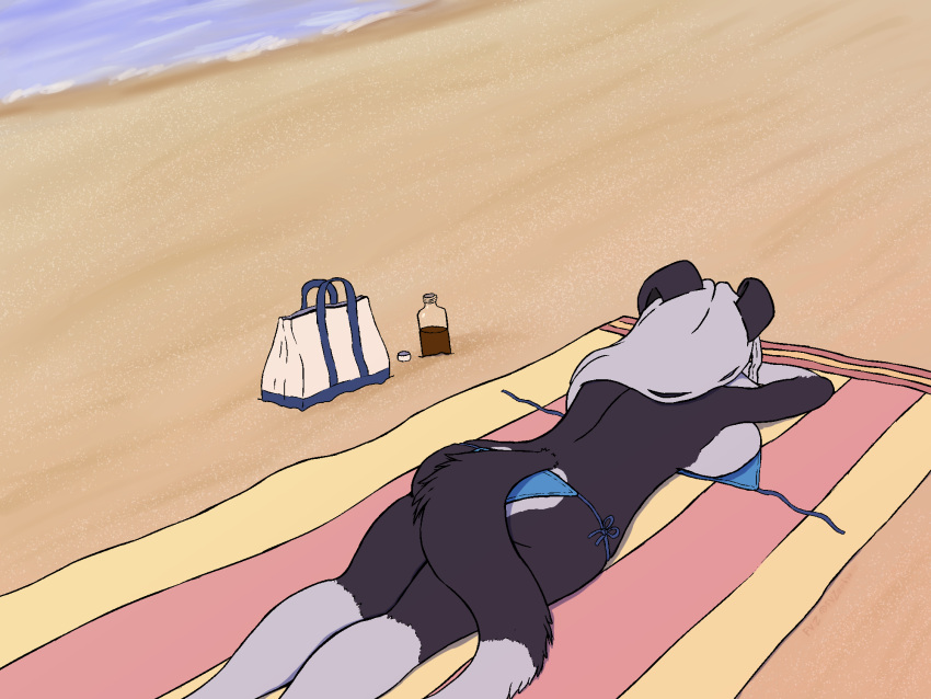 anthro bag beach beach_towel big_breasts big_butt bikini border_collie breasts butt canid canine canis clothing collie domestic_dog female fenneczephyr herding_dog hi_res mammal pastoral_dog rear_view sea seaside sheepdog soda_bottle solo sunbathing swimwear towel untied_bikini water