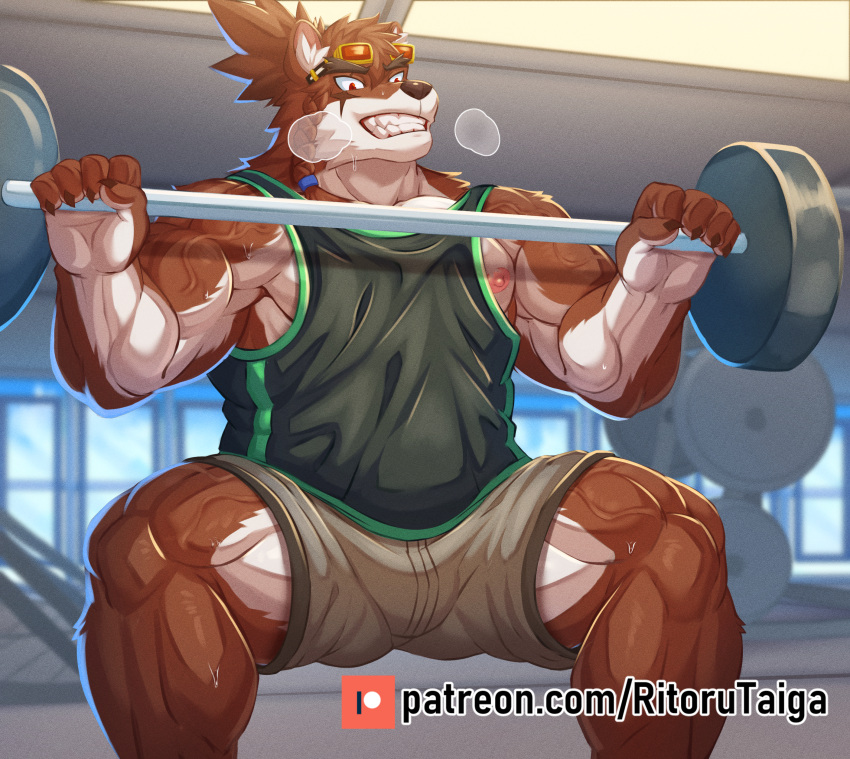 absurd_res anthro bodily_fluids cartuja exercise eyewear glasses gym hi_res male mammal muscular muscular_anthro muscular_male nipples patreon red_eyewear red_glasses ritorutaiga solo steam sweat vein veiny_muscles weightlifting workout