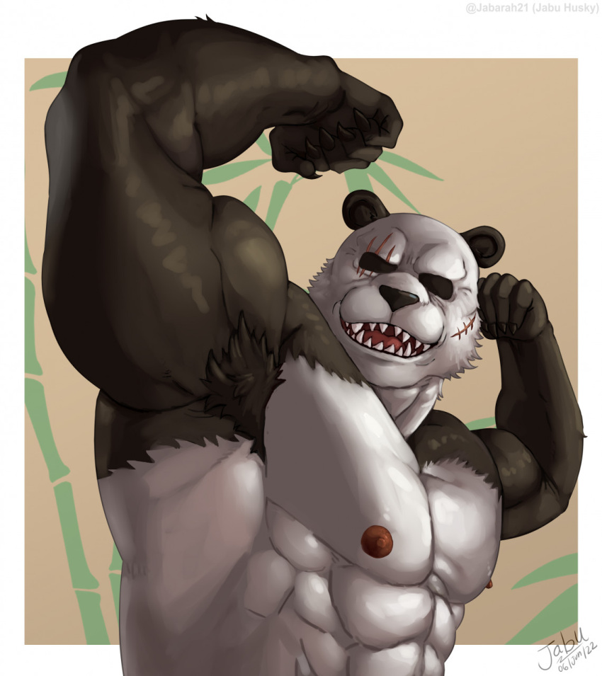 abs anthro armpit_hair bamboo bamboo_tree beastars biceps big_muscles black_body black_eyes black_fur body_hair claws eye_scar facial_scar flexing fur giant_panda gouhin hi_res jabuhusky looking_at_viewer male mammal multicolored_body multicolored_fur muscular nipples obliques open_mouth pecs plant scar sharp_teeth solo teeth tree ursid white_body white_fur