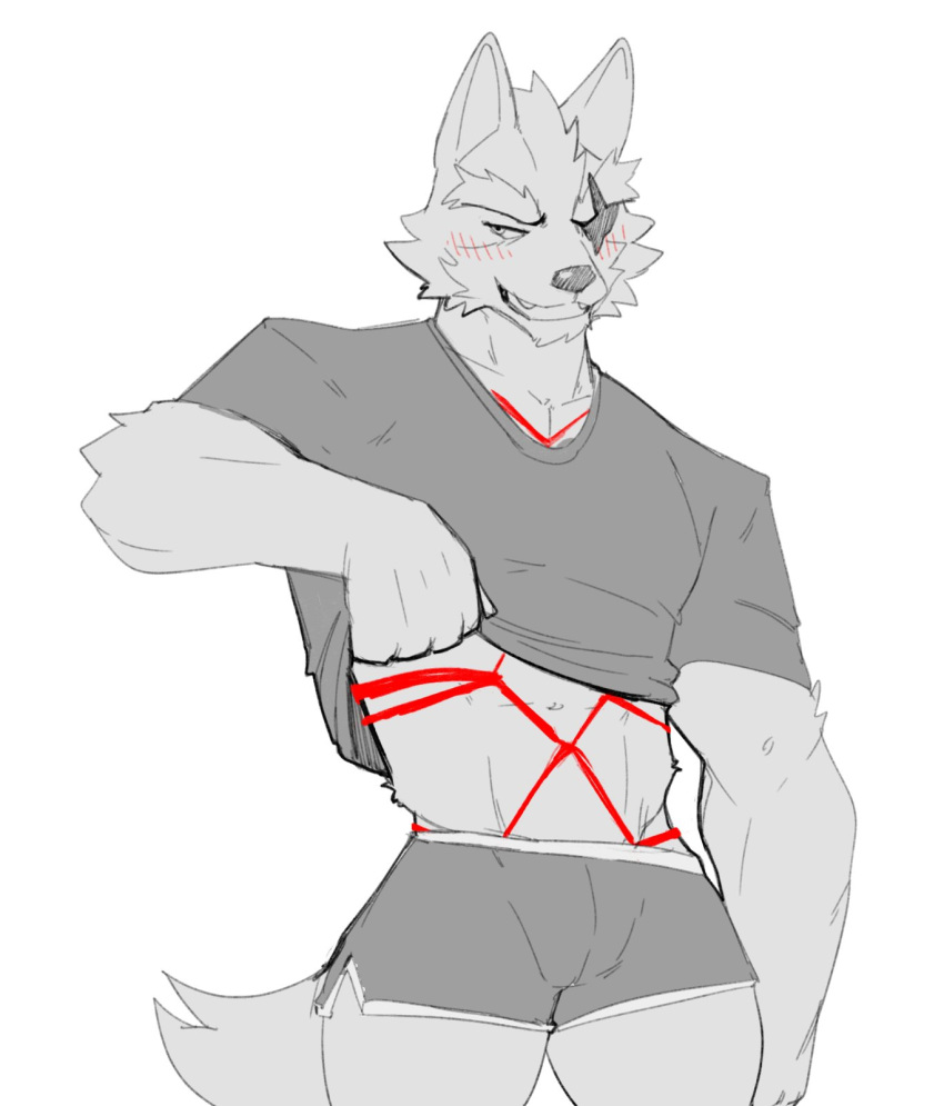 2022 anthro bdsm blush bondage bottomwear bound canid canine canis clothing hi_res jrjresq male mammal muscular muscular_anthro muscular_male nintendo red_rope restraints rope rope_bondage rope_harness shirt shirt_up shorts simple_background sketch solo star_fox t-shirt topwear video_games wolf wolf_o'donnell