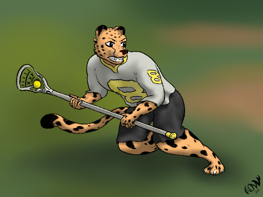 action_pose anthro baring_teeth bottomwear cheetah claws clothing felid feline hi_res jersey lacrosse lacrosse_ball lacrosse_stick male mammal nonny18675309 pose shorts solo teeth whiskers