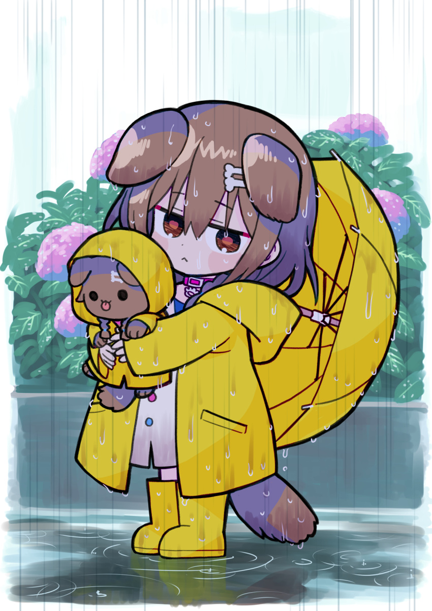 1girl :&lt; animal animal_collar animal_ears bone_hair_ornament boots brown_eyes brown_hair collar commentary_request dog dog_ears dog_girl dog_tail ear_down eyebrows_visible_through_hair flower full_body hair_between_eyes hair_ornament highres holding holding_animal hololive inugami_korone inugami_korone_(dog) leaf looking_at_viewer outdoors pink_collar rain raincoat sabaku_chitai sidelocks simple_background standing tail tongue tongue_out umbrella virtual_youtuber wet wet_clothes wet_floor white_background yellow_footwear yellow_raincoat yellow_umbrella