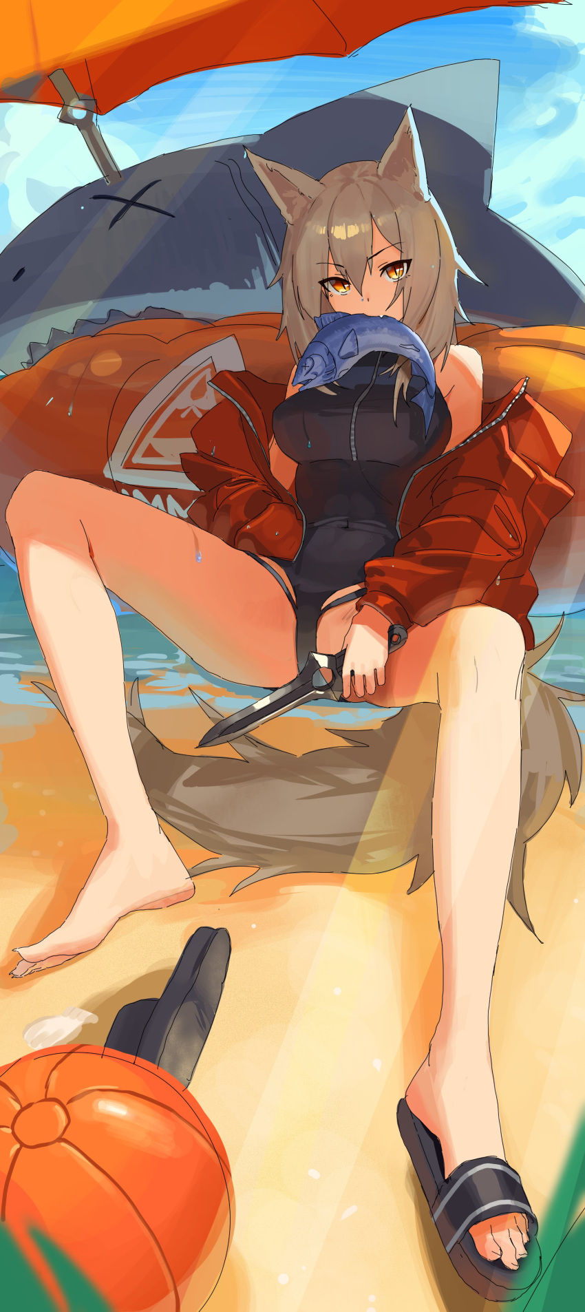 1girl absurdres animal_ears arknights ball bangs bare_legs bare_shoulders beachball black_swimsuit breasts brown_hair covered_navel dagger fang fish full_body hand_in_pocket highres holding holding_dagger holding_weapon inflatable_raft jacket jaws_(okdol0928) knife large_breasts long_hair looking_at_viewer mouth_hold off_shoulder one-piece_swimsuit projekt_red_(arknights) projekt_red_(light_breeze)_(arknights) red_jacket sand sandal_removed sandals shark sitting skin_fang slit_pupils solo swimsuit tail unfinished water weapon wet wolf_ears wolf_girl wolf_tail x_x yellow_eyes