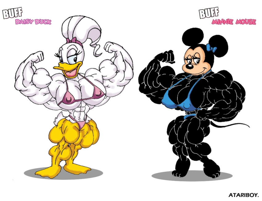 accessory anatid anseriform anthro atariboy avian bird daisy_duck disney duck duo female hair_accessory hair_bow hair_ribbon mammal minnie_mouse mouse murid murine muscular ribbons rodent simple_background two_piece_swimsuit