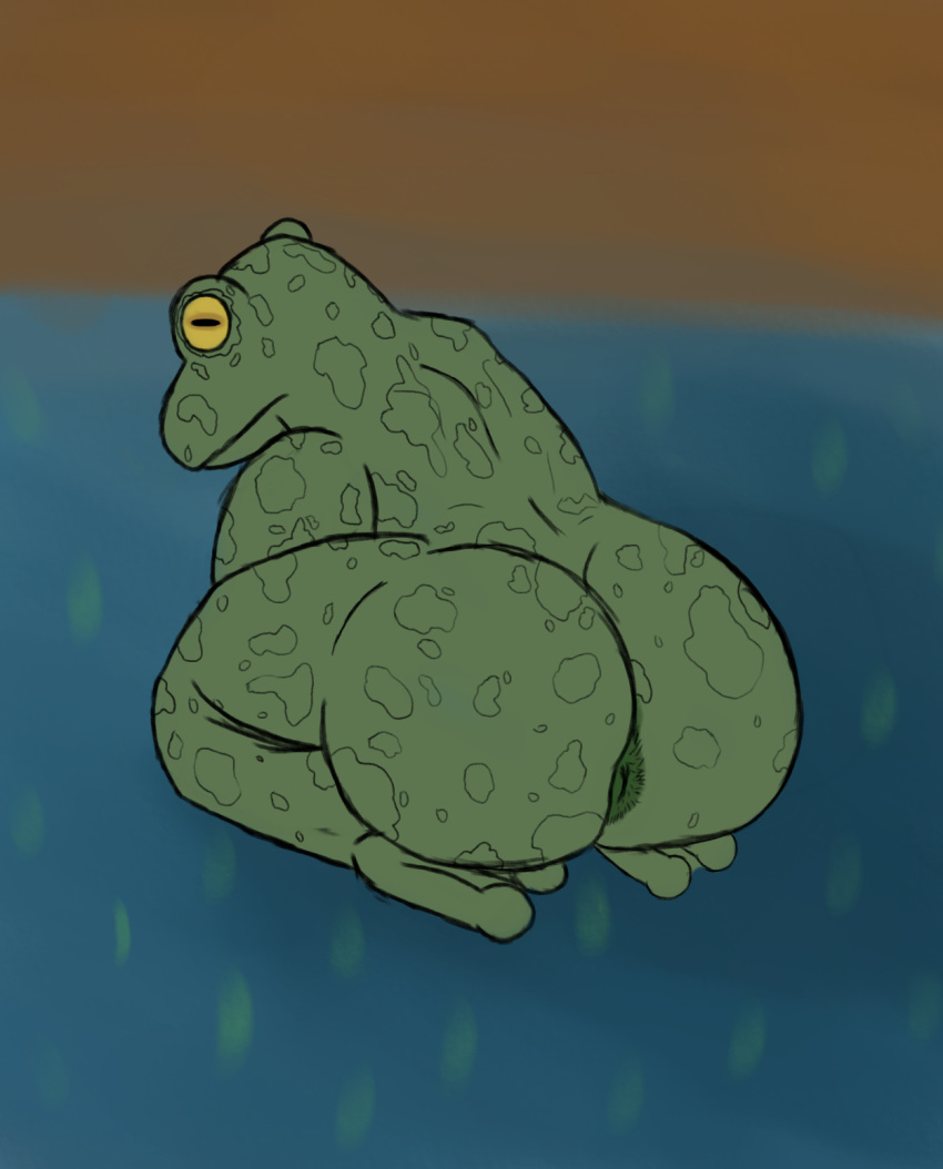 abstract_background amphibian anthro anus big_butt butt digital_drawing_(artwork) digital_media_(artwork) eye_markings female frog green_anus green_body head_down hi_res kneeling markings multicolored_sclera nauiho rear_view sitting sketch solo solo_focus thick_thighs yellow_sclera