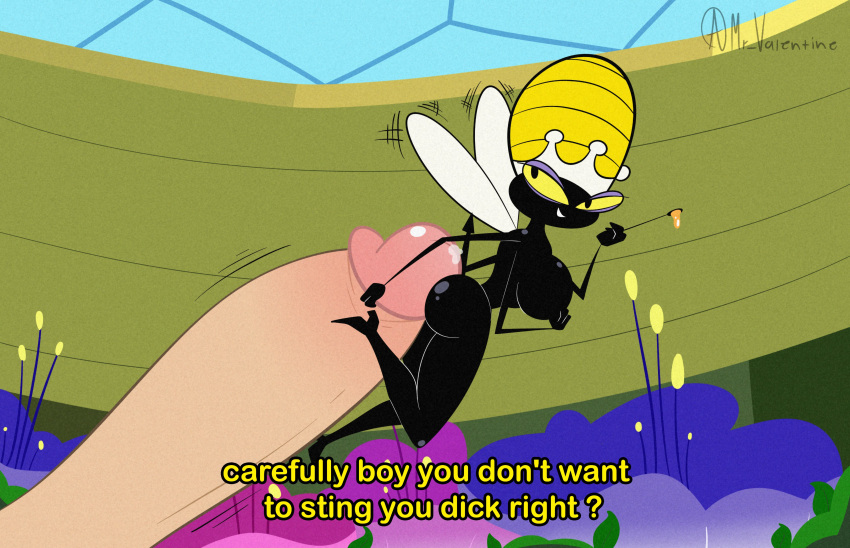 2022 4_arms absurd_res anthro arthropod bee black_body bodily_fluids breasts butt detailed_background dialogue disembodied_penis duo english_text erection female female_focus female_on_human flying genital_fluids genitals hanna-barbera hi_res hot_dogging human human_on_anthro hymenopteran insect interspecies larger_human larger_male macro male male/female male_on_anthro mammal micro micro_on_macro mr_valentine00 multi_arm multi_limb penis pointed_tail precum queen_bea secret_squirrel_show size_difference smaller_anthro smaller_female solo_focus text toony