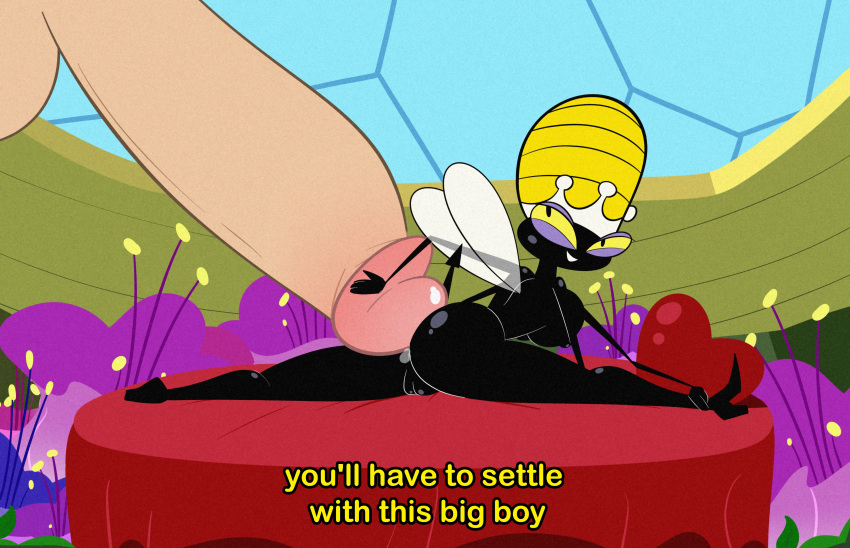 2022 4_arms absurd_res anthro arthropod bee black_body bodily_fluids breasts butt detailed_background dialogue disembodied_penis duo english_text erection female female_focus female_on_human flexible genital_fluids genitals hanna-barbera hi_res hot_dogging human human_on_anthro hymenopteran insect interspecies it'll_never_fit larger_human larger_male macro male male/female male_on_anthro mammal micro micro_on_macro mr_valentine00 multi_arm multi_limb penis plump_labia pointed_tail precum pussy queen_bea secret_squirrel_show size_difference smaller_anthro smaller_female solo_focus splits spread_legs spreading text toony