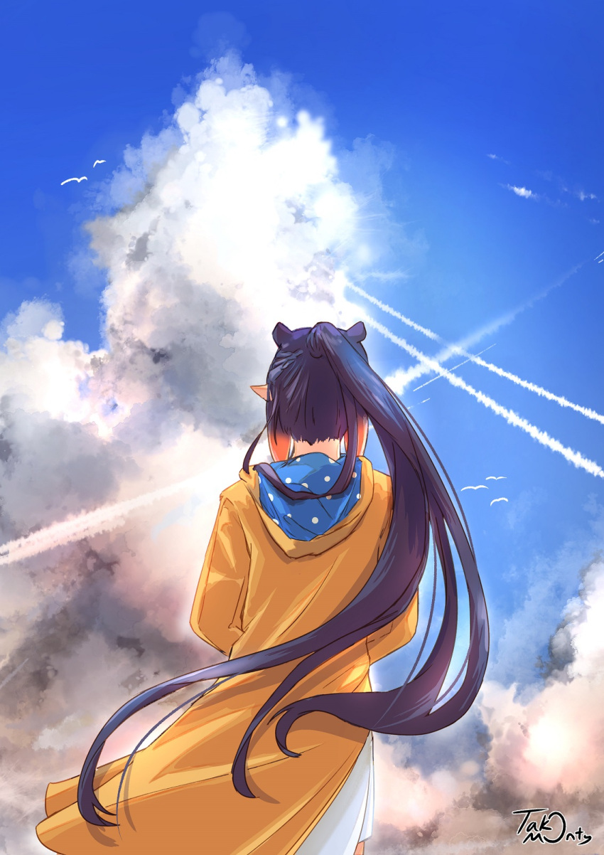 1girl cloud cloudy_sky dress from_behind highres hololive hololive_english long_hair ninomae_ina'nis ponytail purple_hair raincoat sky solo takomonty very_long_hair violet_(ninomae_ina'nis) virtual_youtuber