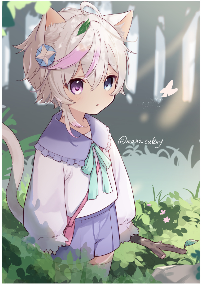 1boy absurdres animal_ears bag blue_eyes branch bug butterfly cat_boy cat_ears cat_tail forest handbag heterochromia highres leaf leaf_on_head looking_to_the_side male_focus mano_sukey multicolored_hair nature original parted_lips pink_hair purple_eyes shirt short_hair shorts solo tail thighhighs tree white_hair