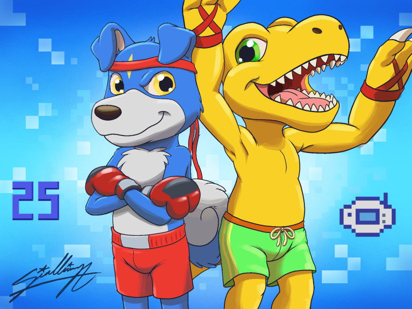 agumon bandai_namco bottomwear boxing clothing digimon digimon_(species) duo gaomon gloves handwear hi_res male sagadreams shorts sport swimming swimming_trunks swimwear