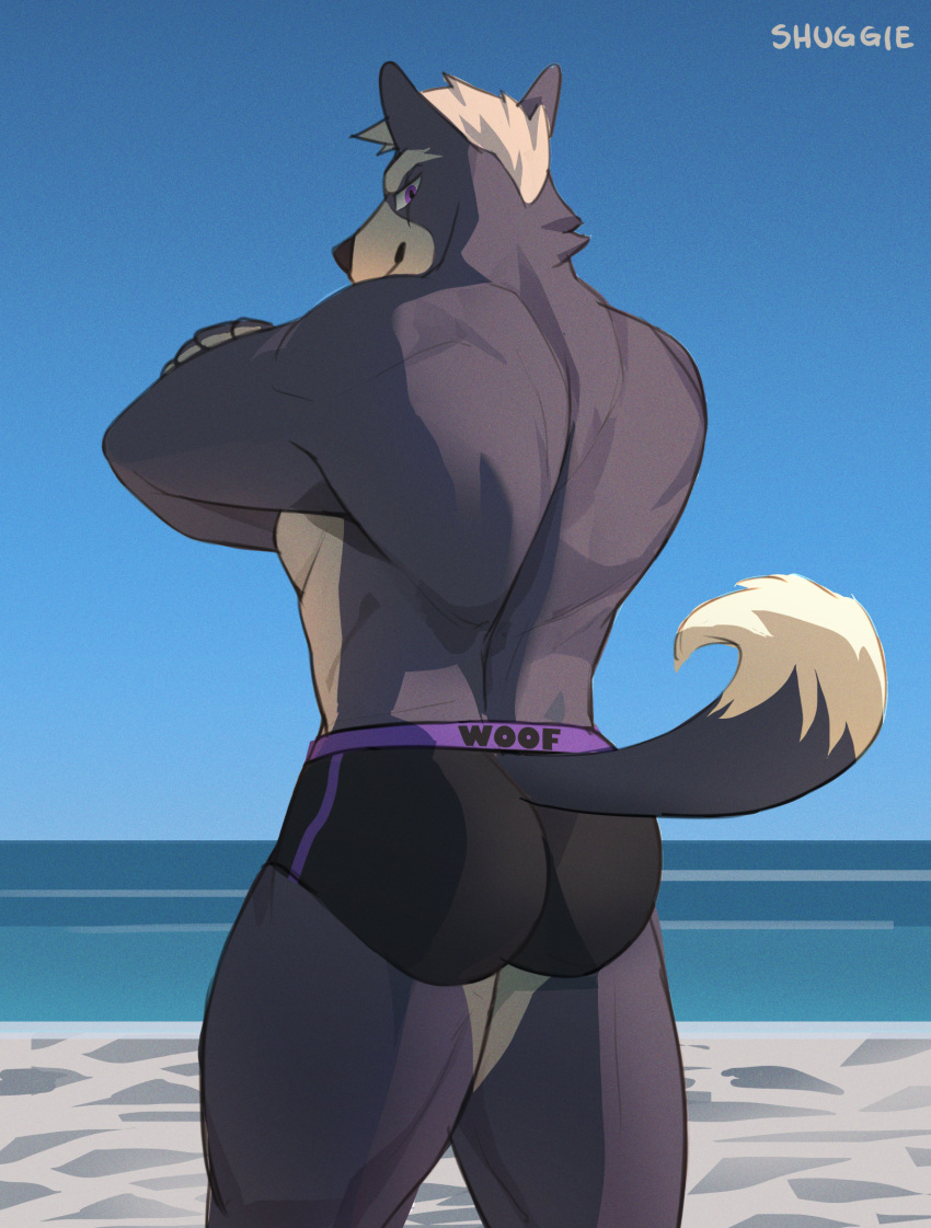 back_muscles beach biceps big_muscles black_nose butt canid canine canis clothing grey_body hi_res male mammal muscular nintendo seaside shugggie solo speedo star_fox swimwear video_games wolf wolf_o'donnell
