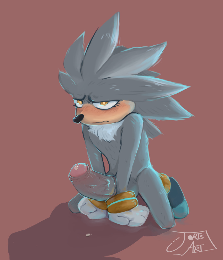 absurd_res anthro bodily_fluids clothing eulipotyphlan foreskin genital_fluids genitals gloves handwear hedgehog hi_res humanoid_genitalia humanoid_penis jorts_(artist) kneeling looking_up male mammal penis precum presenting sega silver_the_hedgehog solo solo_focus sonic_the_hedgehog_(series)