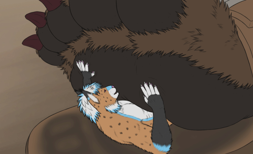 2022 2d_animation 5_fingers 5_toes abs ambiguous_gender ambiguous_species animated anthro anthro_focus anthro_on_anthro arm_markings arm_tuft athletic athletic_anthro athletic_male back_tuft biped black_markings black_pawpads black_spots black_tuft blinking blue_highlights blue_markings bodily_fluids brown_background brown_body brown_claws brown_clothing brown_foot brown_footwear brown_fur brown_pawpads brown_paws brown_sandals brown_tuft cheek_tuft chest_markings chest_tuft claws clothing colored countershade_face countershade_torso countershading cramped digital_drawing_(artwork) digital_media_(artwork) duo ear_tuft eyes_closed faceless faceless_ambiguous faceless_anthro faceless_character facial_markings facial_tuft fangs feet felid feline finger_claws fingerless_(marking) fingers flat_colors fluffy fluffy_paws foot_fetish foot_lick foot_play foot_rub foot_shot foot_tuft footwear footwear_only frame_by_frame fur fur_markings grey_inner_ear grey_inner_ear_fluff hair half-closed_eyes head_markings highlights_(coloring) hindpaw inner_ear_fluff interspecies kapeesh_lynx_(character) larger_ambiguous larger_anthro licking looking_at_another looking_pleasured looking_up loop low-angle_view lying lynx macro male male/ambiguous male_focus mammal markings massage massaging micro micro_abuse micro_focus micro_on_macro mostly_nude multicolored_body multicolored_fur narrowed_eyes nude on_back open_mouth oral paw_shot paw_tuft pawpads paws pecs pink_eyes pink_nose pink_pawpads pink_tongue pinned raised_toes red_claws restrained sandal sandals sandals_only short_hair side_view sidmonthebear simple_background size_difference size_play smaller_anthro smaller_male snout snout_markings soles solo_focus spots spotted_body spotted_face spotted_fur spread_toes standing stuck sweat tan_body tan_fur three-quarter_view toe_claws toes tongue tongue_out tuft underfoot ursid white_body white_claws white_countershading white_hair white_inner_ear white_inner_ear_fluff white_markings