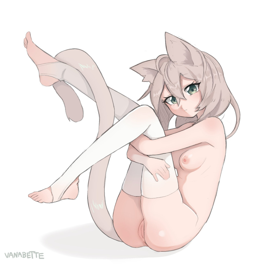 1girl animal_ears ass breasts cat_ears cat_girl cat_tail feet feet_up green_eyes highres hugging_own_legs miyu_(vanabette) nipples nude original pussy stirrup_legwear tail thighhighs thighs toeless_legwear toes vanabette