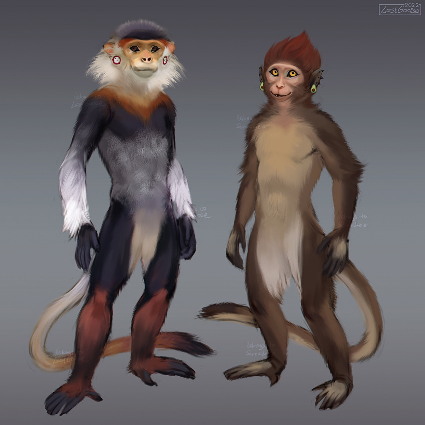 1:1 2022 anthro black_body black_fur brown_body brown_eyes brown_fur digital_media_(artwork) duo ear_piercing ear_ring featureless_crotch fur hair haplorhine hi_res looking_at_viewer lostgoose male mammal monkey nude piercing pose primate ring_piercing simple_background smile standing