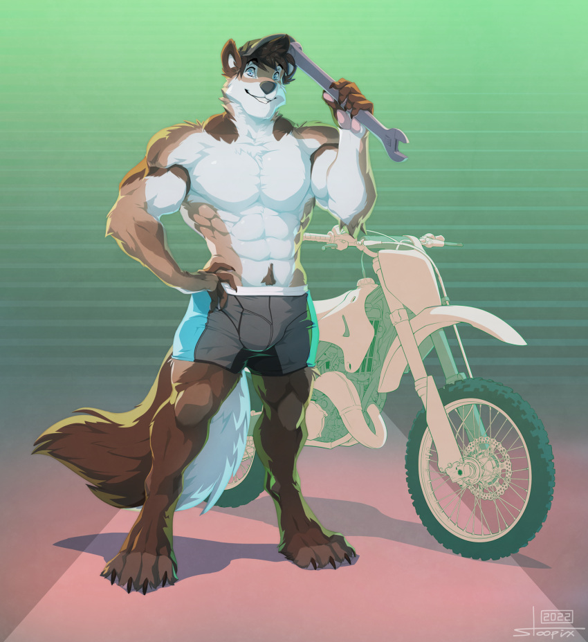 4_toes 5_fingers abs anthro bottomwear canid canine canis claws clothed clothing domestic_dog feet finger_claws fingers gradient_background hat headgear headwear hi_res husky looking_at_viewer male mammal motorcycle muscular nordic_sled_dog pattern_background paul_(majin764) shorts simple_background smile solo spitz stoopix teeth_showing toe_claws toes tools topless vehicle wrench
