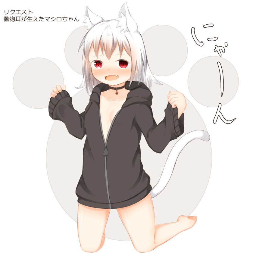 1girl animal_ear_fluff animal_ears bangs barefoot black_jacket blush breasts cat_ears cat_girl cat_tail collarbone commentary_request fang full_body grey_background highres hood hood_down hooded_jacket jacket kneeling long_hair long_sleeves looking_at_viewer open_clothes open_jacket open_mouth original pinching_sleeves red_eyes sleeves_past_wrists small_breasts solo su_guryu tail translation_request two-tone_background white_background white_hair wide_sleeves