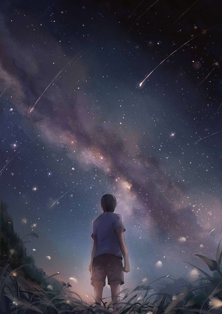 1boy absurdres arms_at_sides black_hair brown_shirt cloud corn_field facing_away from_behind from_below grey_shirt highres legs_apart light_particles looking_up male_focus motion_blur night night_sky original outdoors petals scenery shirt shooting_star short_sleeves sishenfan sky solo standing star_(sky) stargazing starry_sky