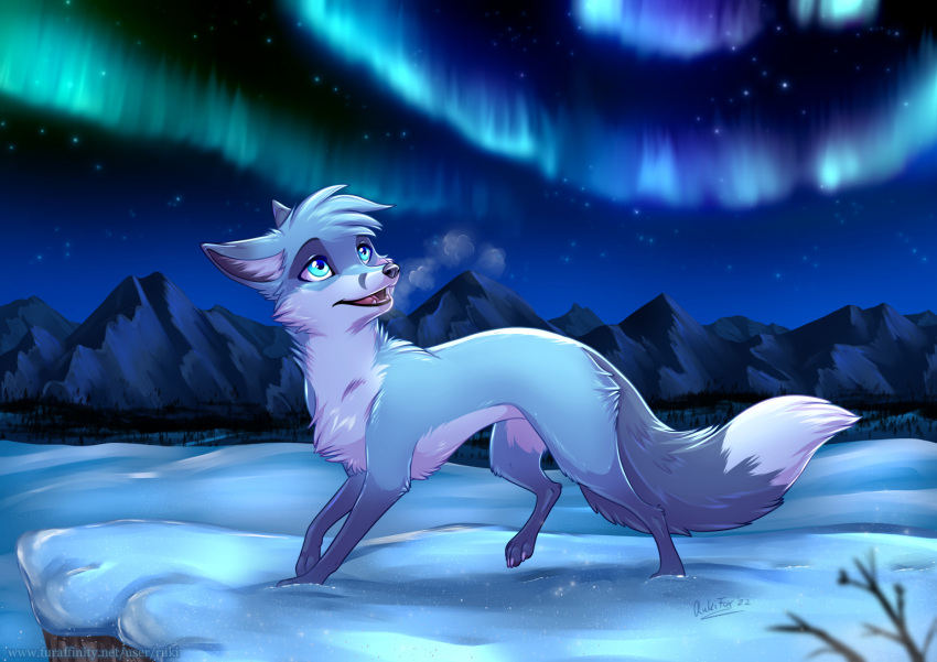 ambiguous_gender aurora_borealis blue_body blue_eyes blue_fur canid canine feral fox fur looking_up mammal outside rukifox snow solo walking