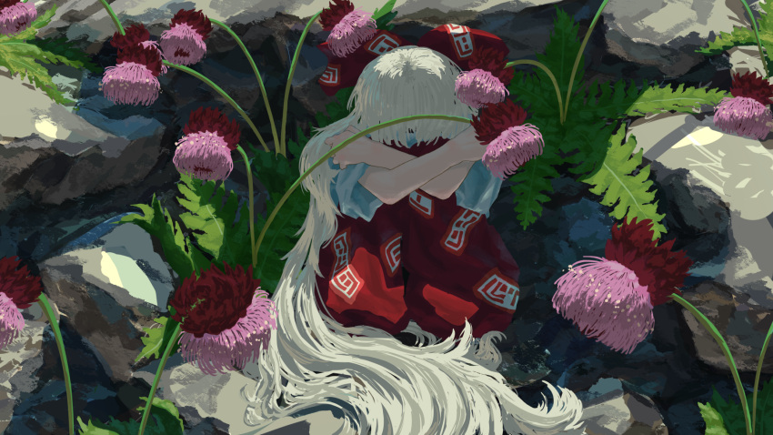 1girl baggy_pants bow commentary_request covered_face crossed_arms fern flower fujiwara_no_mokou full_body hair_bow hands_on_own_shoulders highres hugging_own_legs kajatony knees_up long_hair nature ofuda ofuda_on_clothes pants red_bow red_pants rock shirt short_sleeves solo thistle touhou very_long_hair white_hair white_shirt
