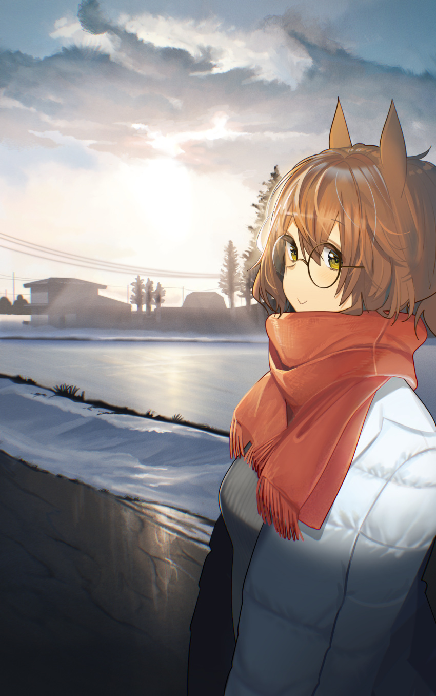 1girl absurdres animal_ears ashinowoto aston_machan_(umamusume) breasts brown_hair building closed_mouth cloud coat glasses green_eyes grey_sweater highres horse_ears horse_girl long_sleeves looking_at_viewer medium_breasts open_clothes open_coat outdoors power_lines round_eyewear scarf short_hair smile snow solo standing sweater tree umamusume white_coat